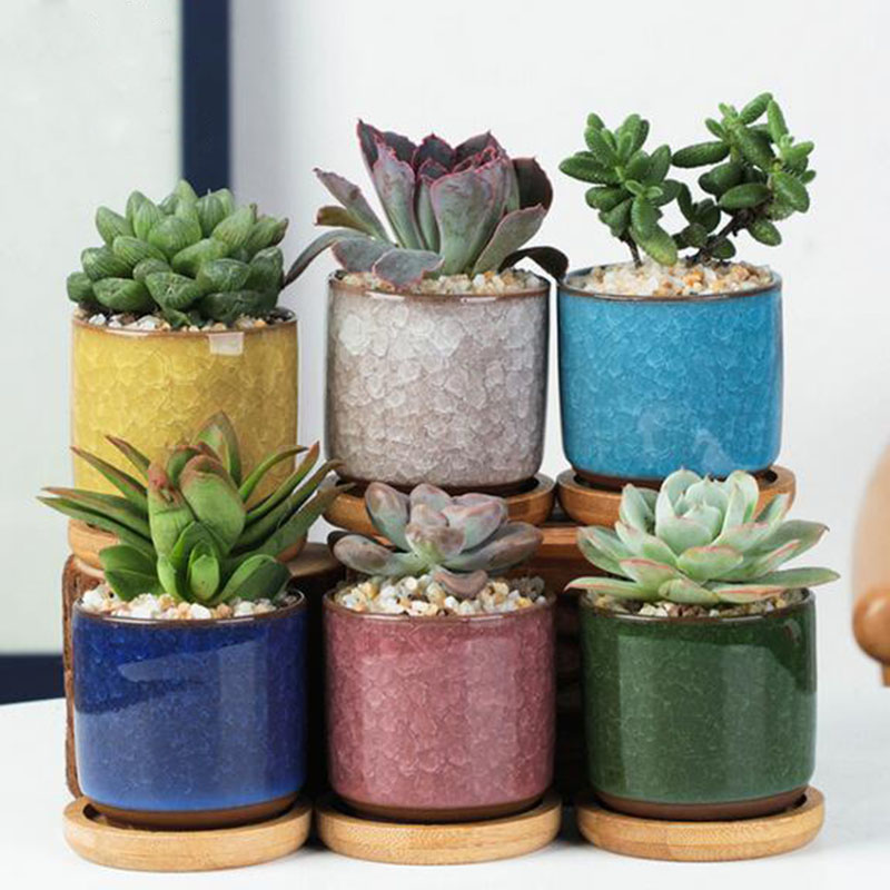 Echeveria Succulent - 6 sztuk/zestaw ceramiczny zestaw doniczek Mini