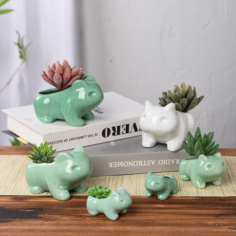 Kreatywna doniczka na sukulent – Echeveria Succulent recenzja i cena