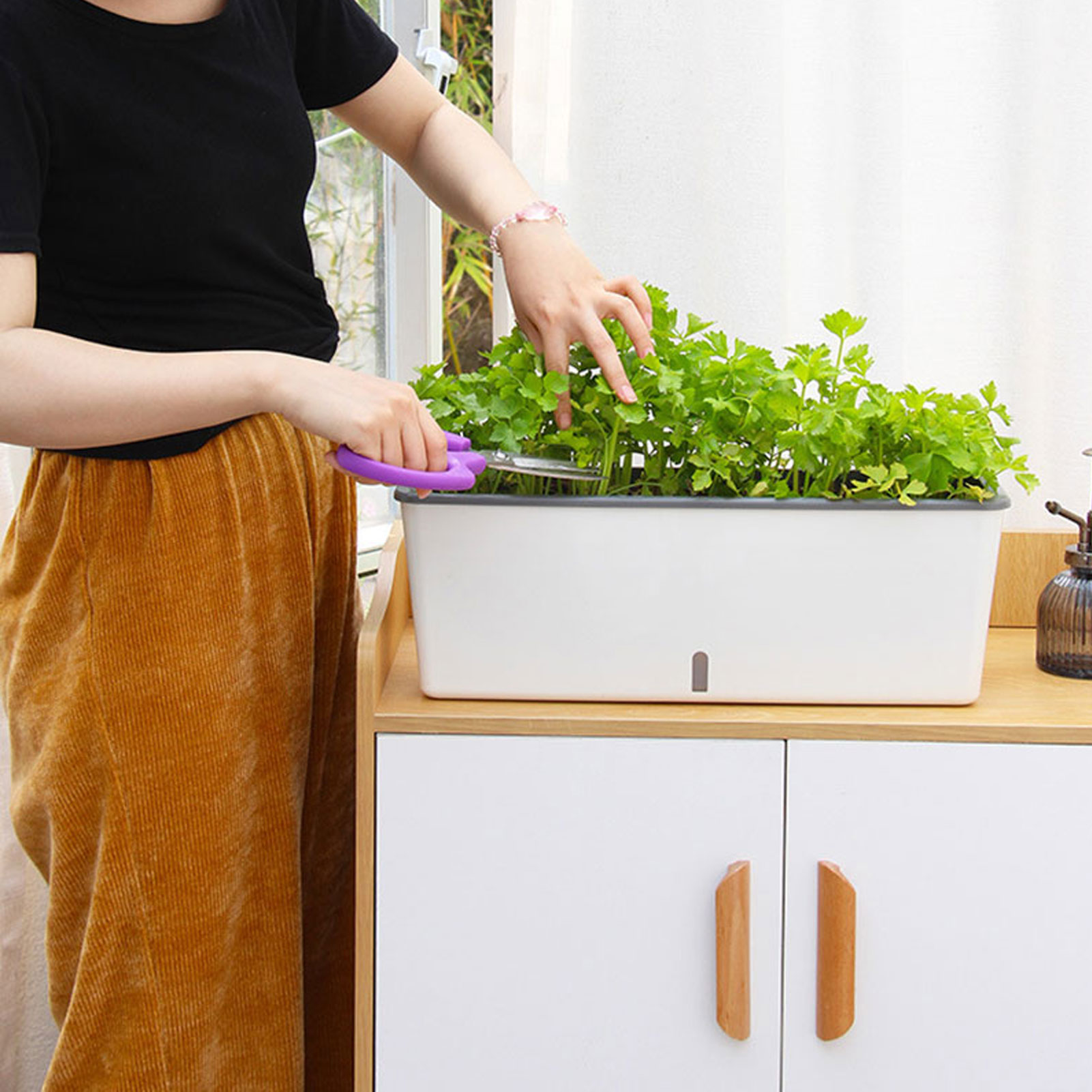 Samonawadniające się doniczki  – Aloe Vera Pot recenzja i cena