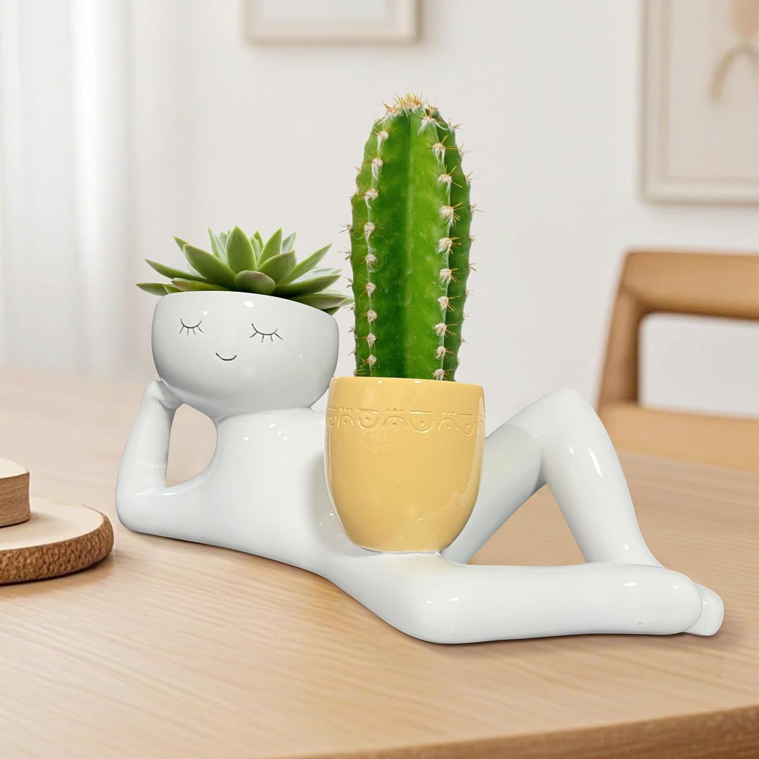 Latający Laleczka Doniczka - U – Echeveria Succulent recenzja i cena