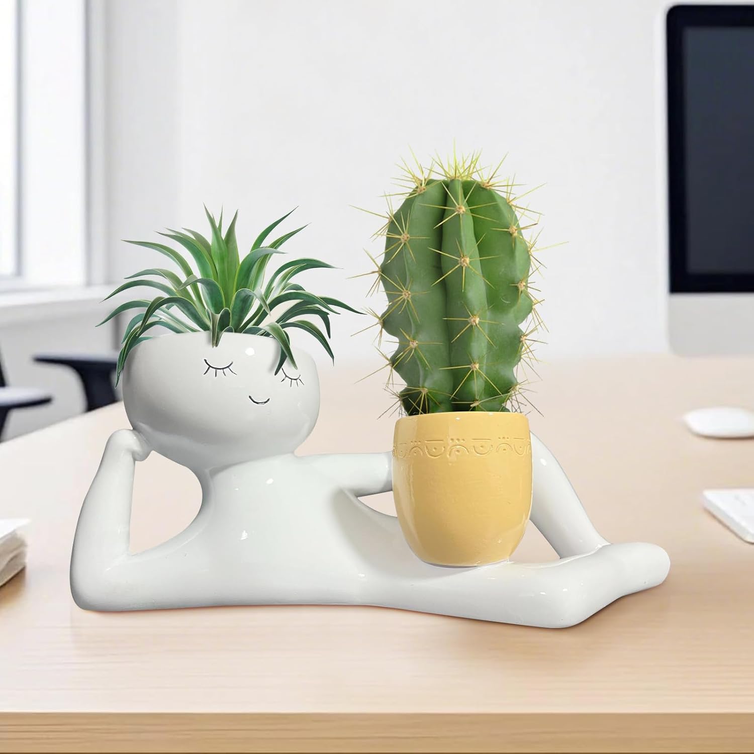 Latający Laleczka Doniczka - U – Echeveria Succulent recenzja i cena