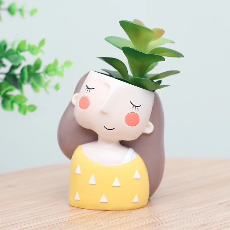 Urocza dziewczyna doniczka dla – Echeveria Succulent recenzja i cena