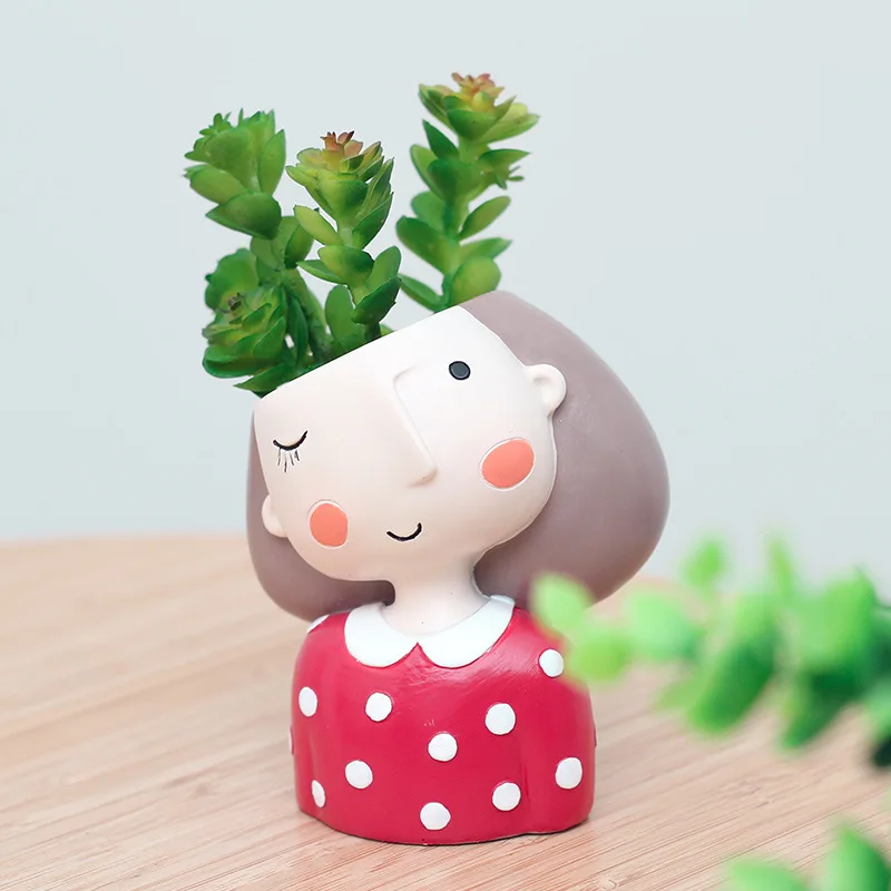 Urocza dziewczyna doniczka dla – Echeveria Succulent recenzja i cena