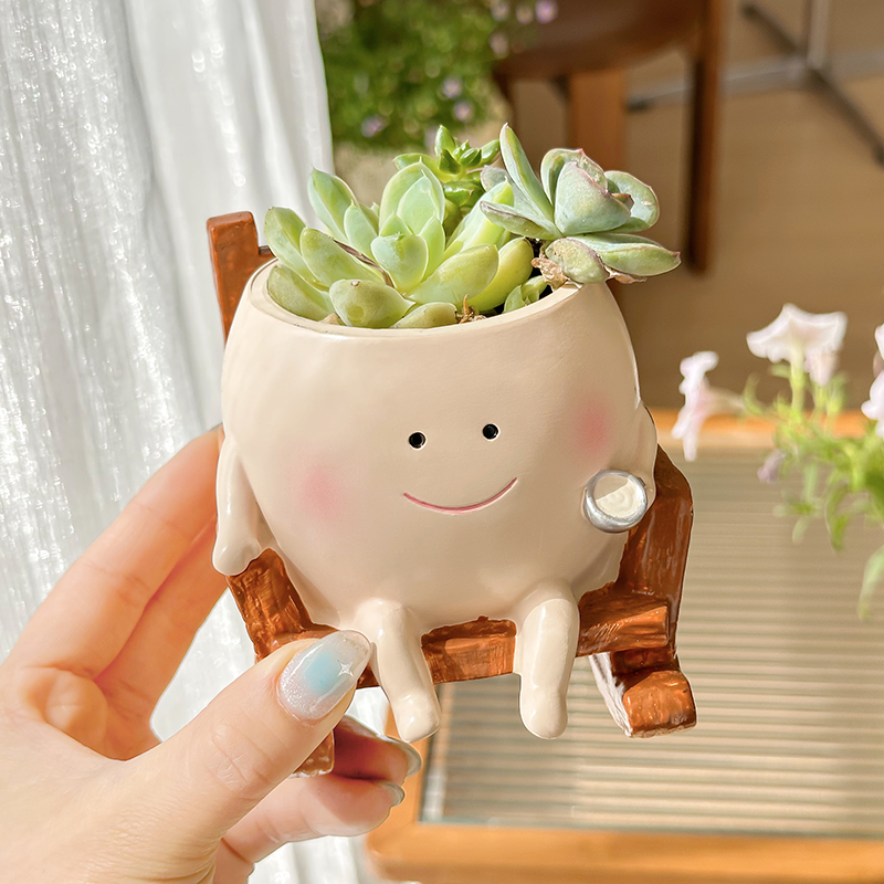 Stylowa, urocza doniczka na su – Echeveria Succulent recenzja i cena