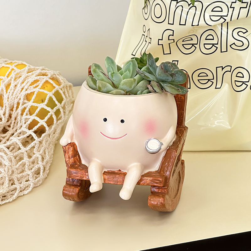 Stylowa, urocza doniczka na su – Echeveria Succulent recenzja i cena