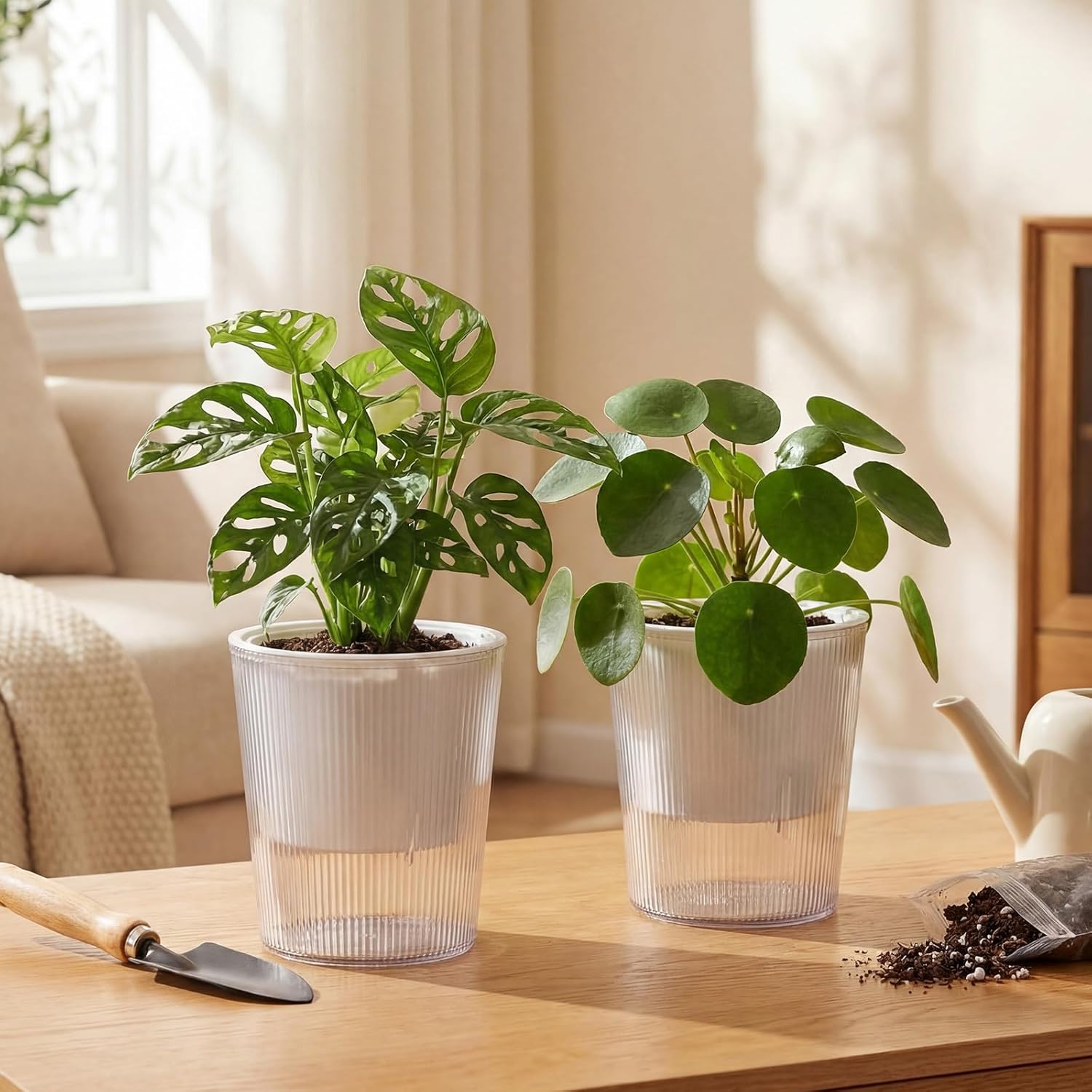 Przezroczyste doniczki samozra – Aloe Vera Pot recenzja i cena