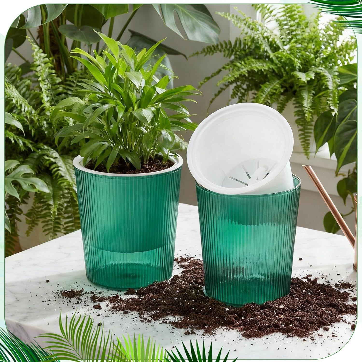 Przezroczyste doniczki samozra – Aloe Vera Pot recenzja i cena