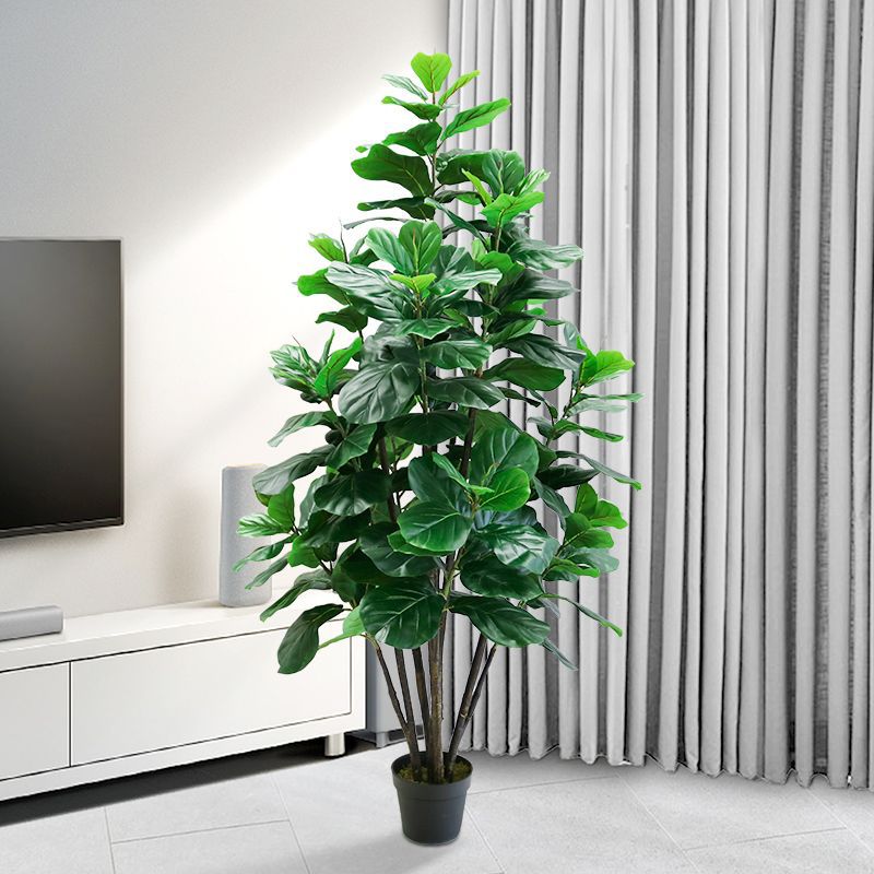 Sztuczna Ficus Lyrata, Duża Ro – Ficus Lyrata Tree recenzja i cena