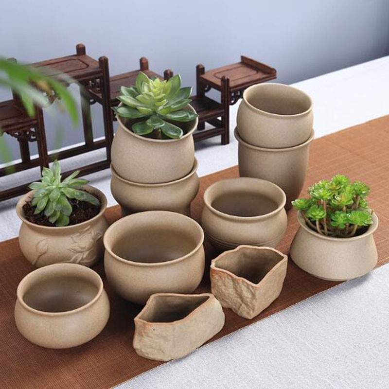 Retro gruba ceramika doniczka  – Echeveria Succulent recenzja i cena