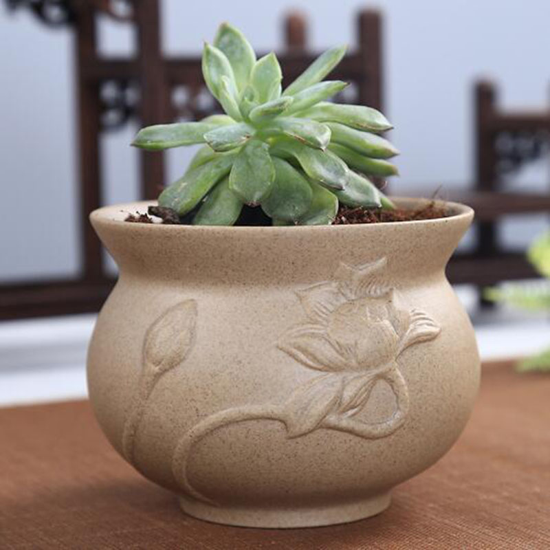 Retro gruba ceramika doniczka  – Echeveria Succulent recenzja i cena