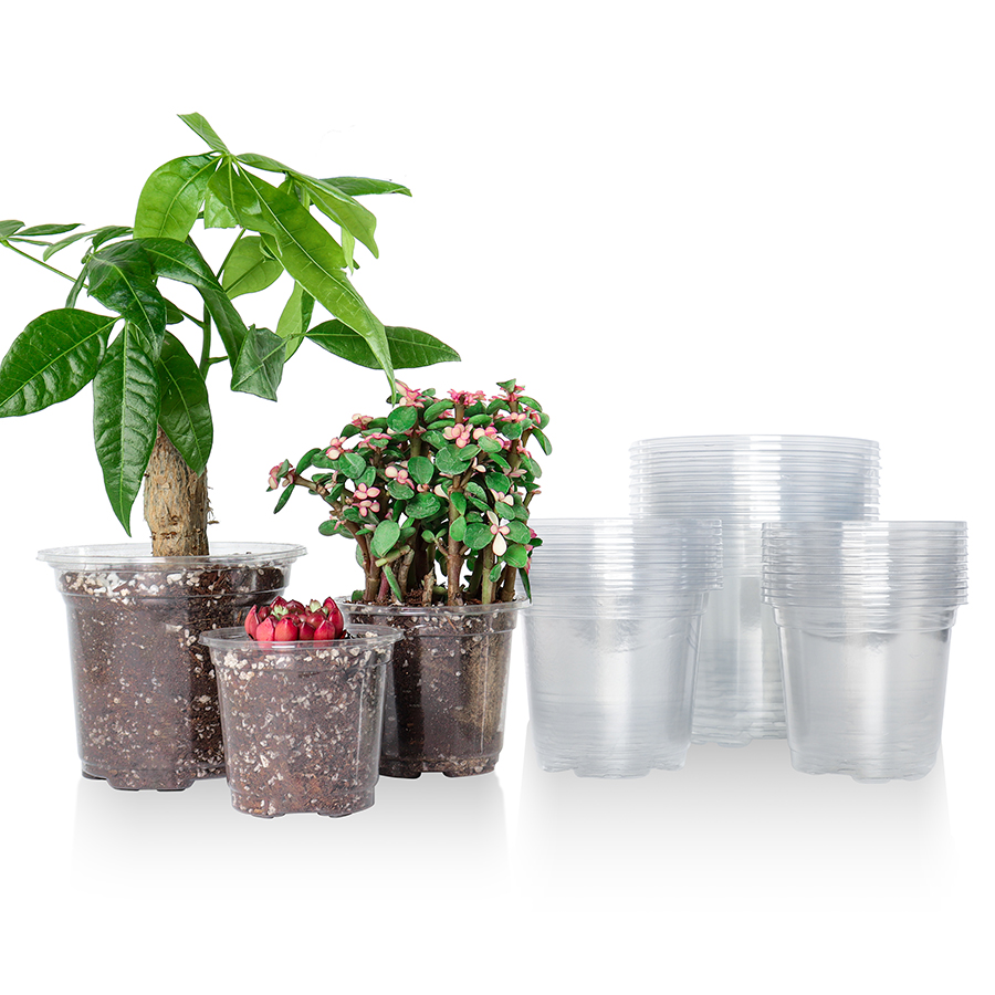 30 opakowań 3,5/4/5-calowych p – Aloe Vera Pot recenzja i cena