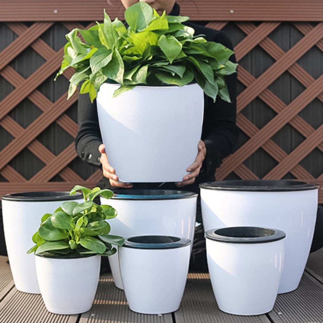 Automatyczne nawadnianie kwiat – Aloe Vera Pot recenzja i cena