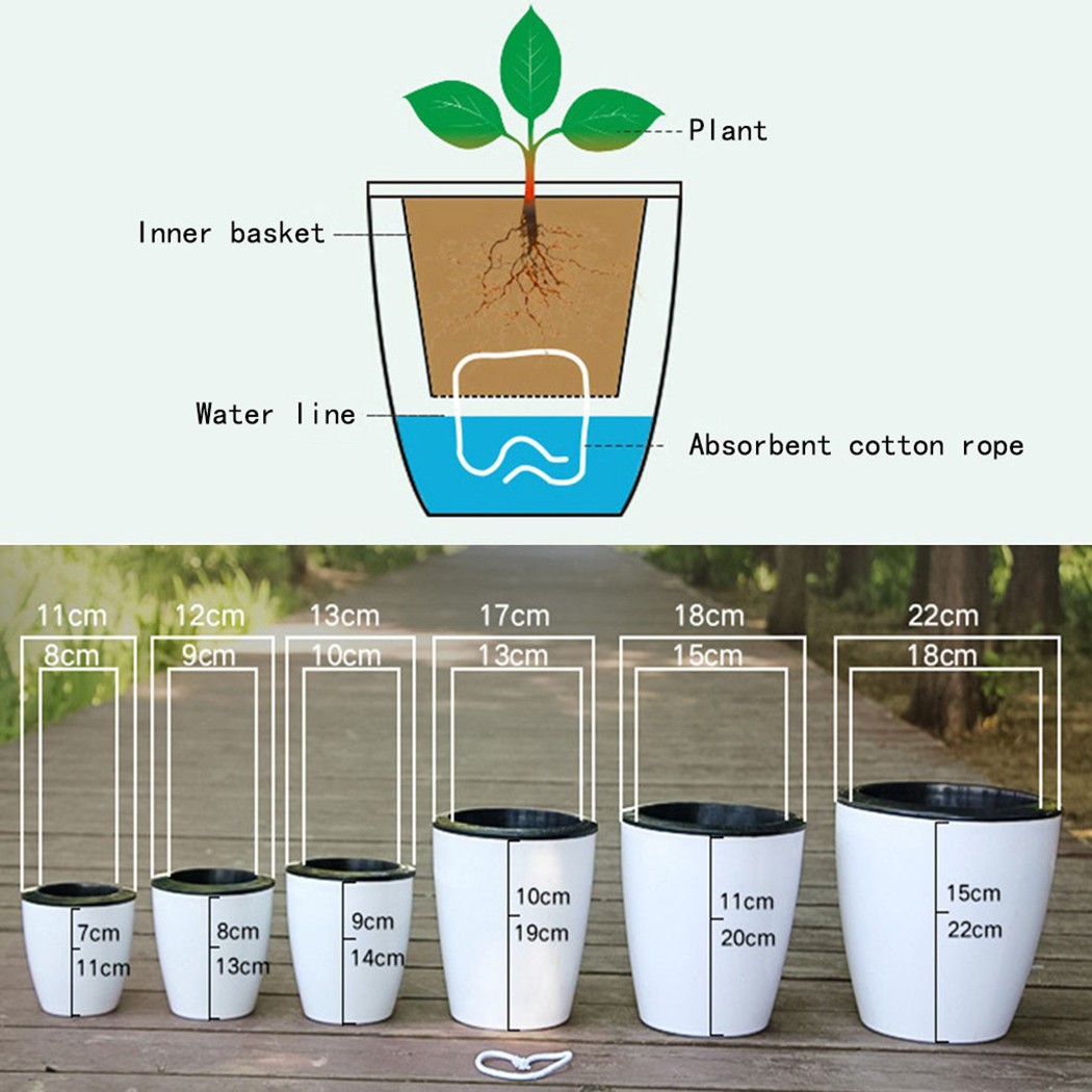 Automatyczne nawadnianie kwiat – Aloe Vera Pot recenzja i cena
