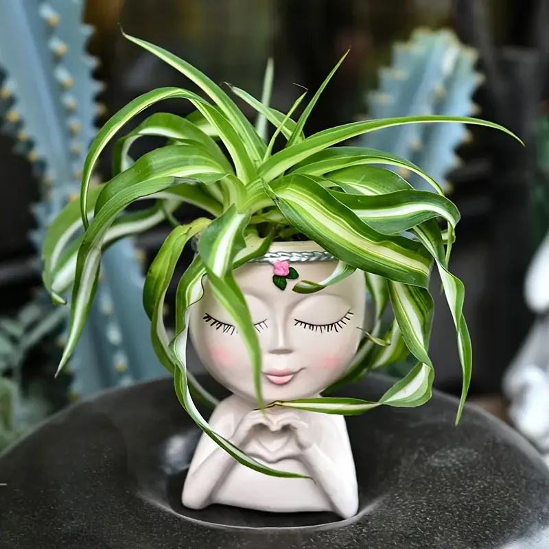 Doniczka na sukulenty z żywicy – Echeveria Succulent recenzja i cena