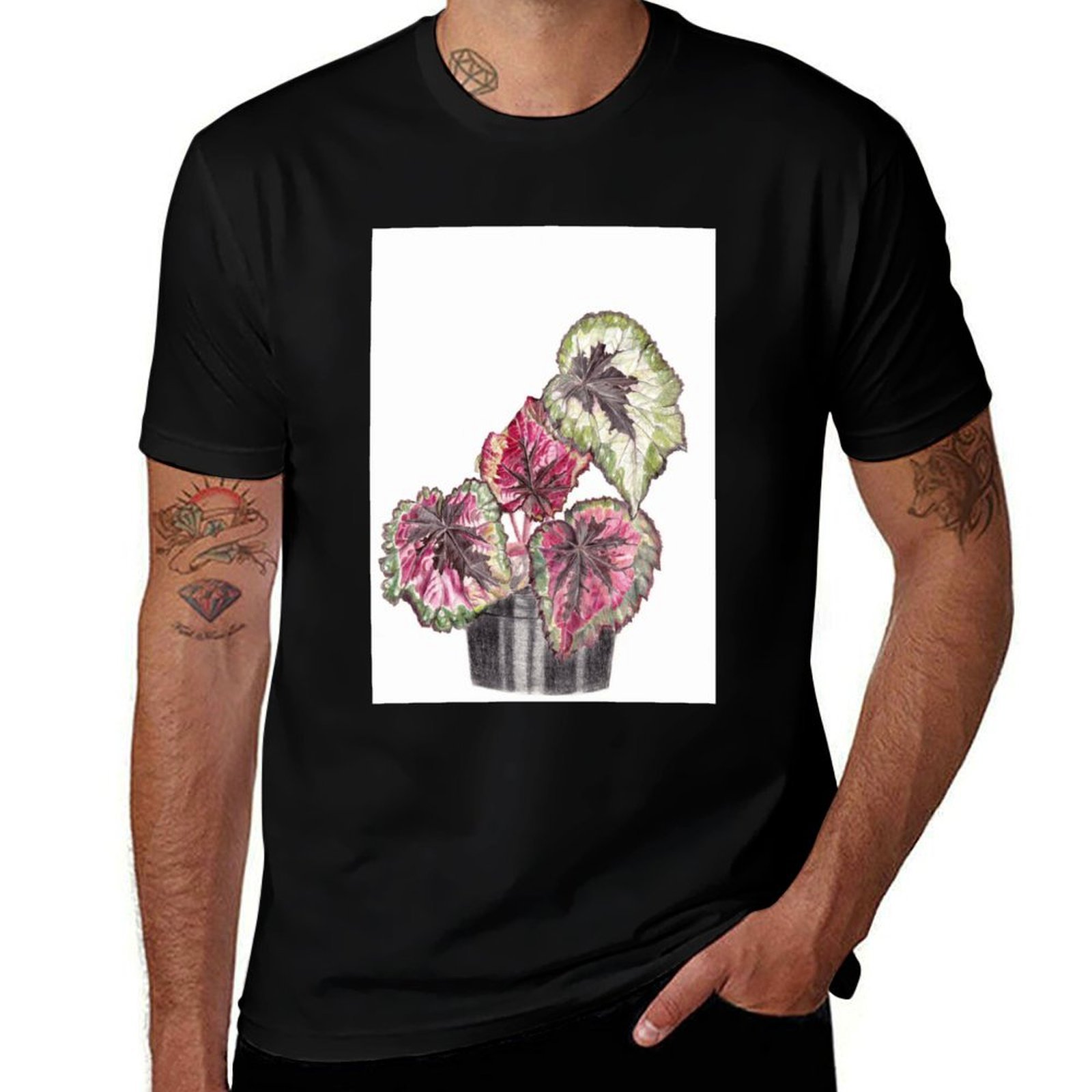 Koszulka Begonia Rex z wygodne – Begonia Rex recenzja i cena