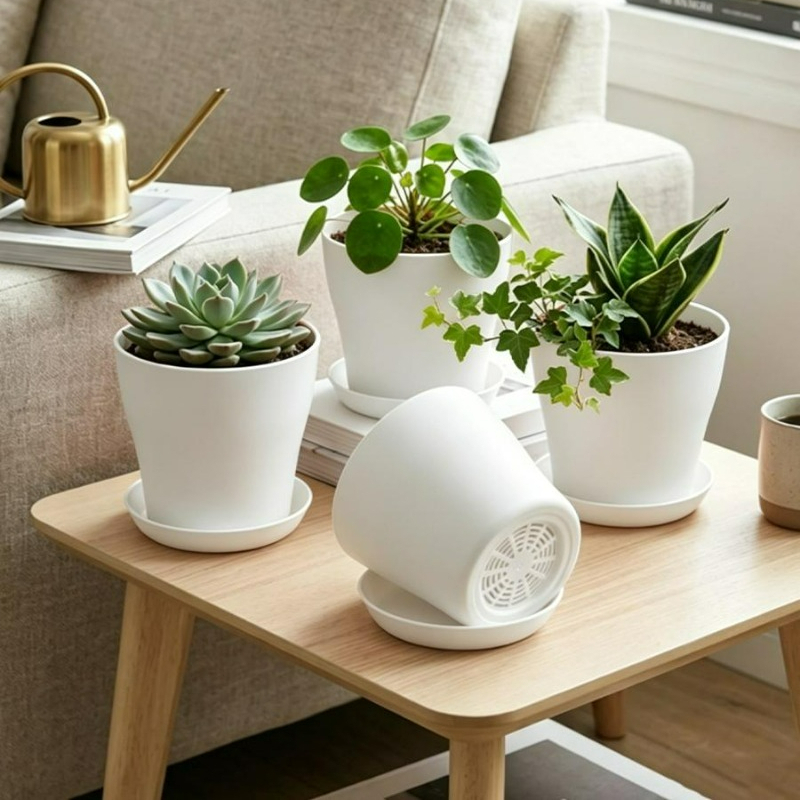 Zestaw doniczek z otworami dre – Echeveria Succulent recenzja i cena