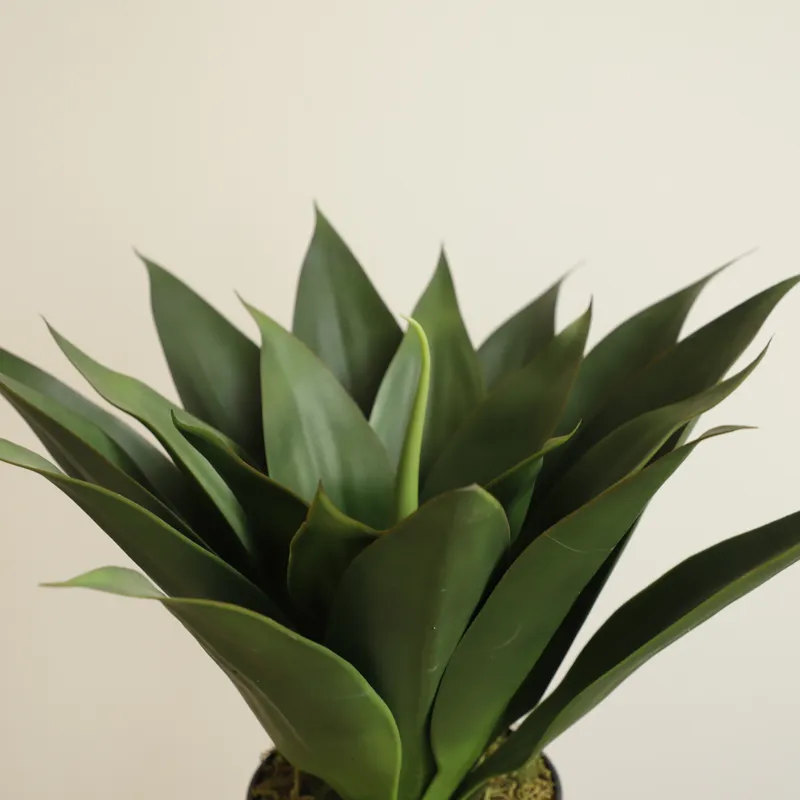 Sztuczna roślina aloe vera w d – Aloe Vera Pot recenzja i cena
