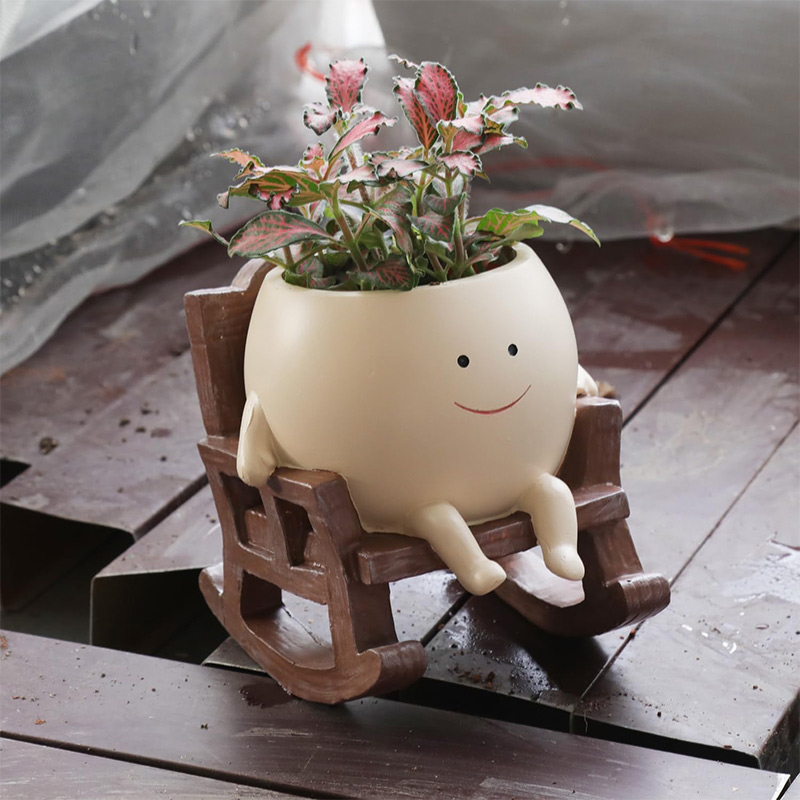 Mini Krzesło Bujane z Uśmiechn – Echeveria Succulent recenzja i cena