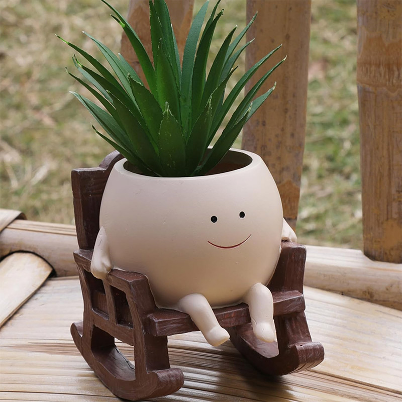 Mini Krzesło Bujane z Uśmiechn – Echeveria Succulent recenzja i cena