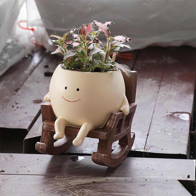 Mini Krzesło Bujane z Uśmiechn – Echeveria Succulent recenzja i cena